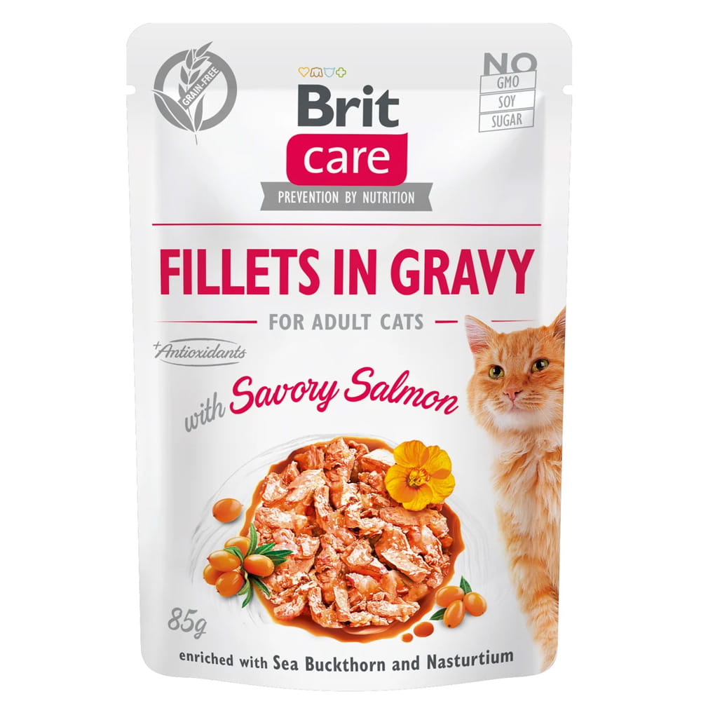 Brit Care Cat FG Savory Salmon Karma Mokra dla Kota Łosoś 85g